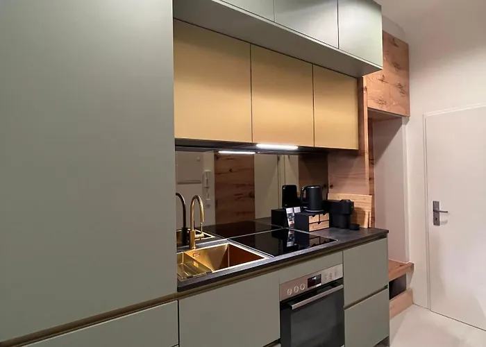 Luxurious One Near Schoenbrunn Palace Daire Viyana