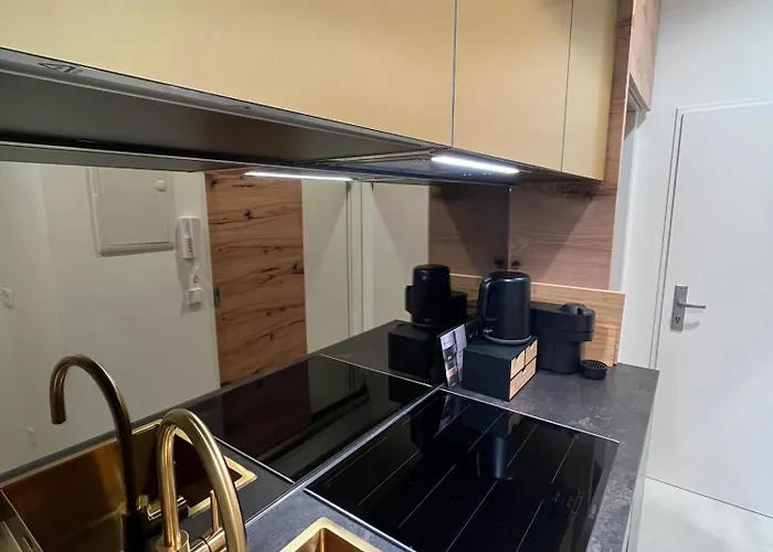 Luxurious One Near Schoenbrunn Palace Daire Viyana