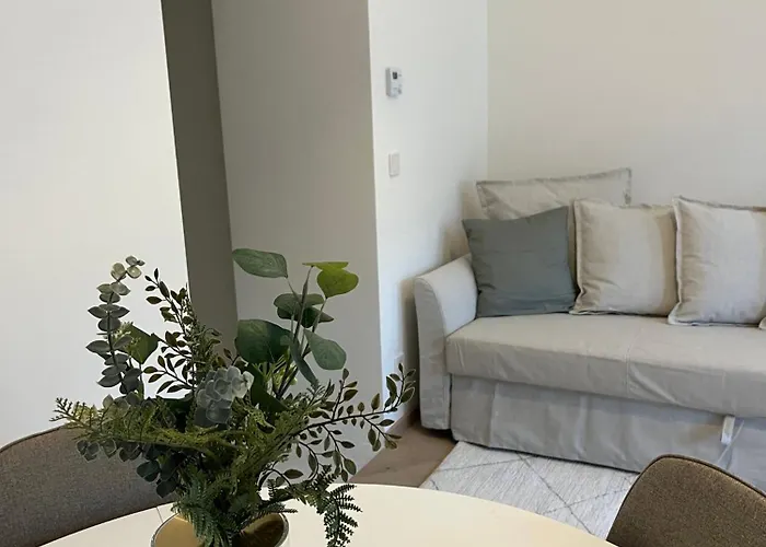 Daire Luxurious One Near Schoenbrunn Palace Viyana